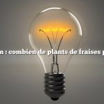 Question : combien de plants de fraises par acre